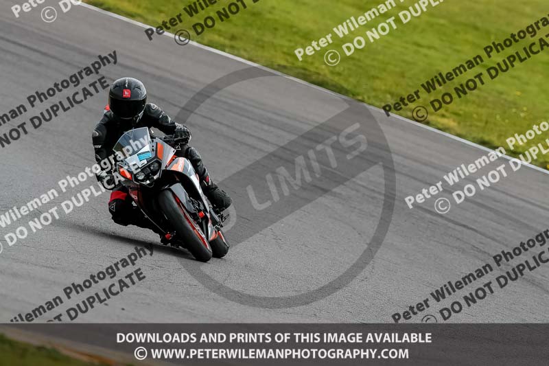 PJ Motorsport 2019;anglesey no limits trackday;anglesey photographs;anglesey trackday photographs;enduro digital images;event digital images;eventdigitalimages;no limits trackdays;peter wileman photography;racing digital images;trac mon;trackday digital images;trackday photos;ty croes